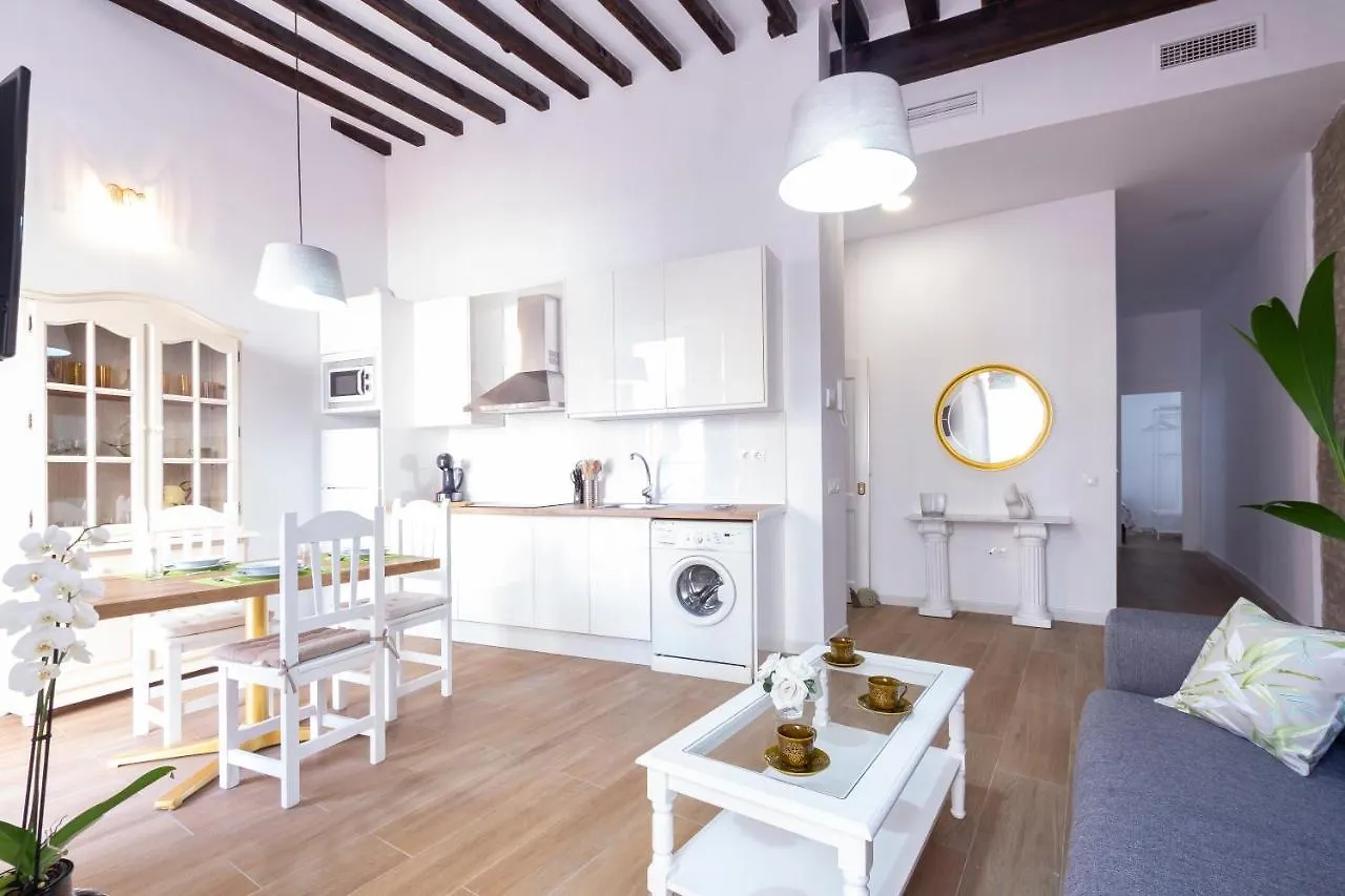 Beautiful&bright apartment close to the center of Málaga